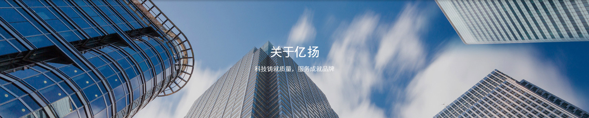 億揚簡介